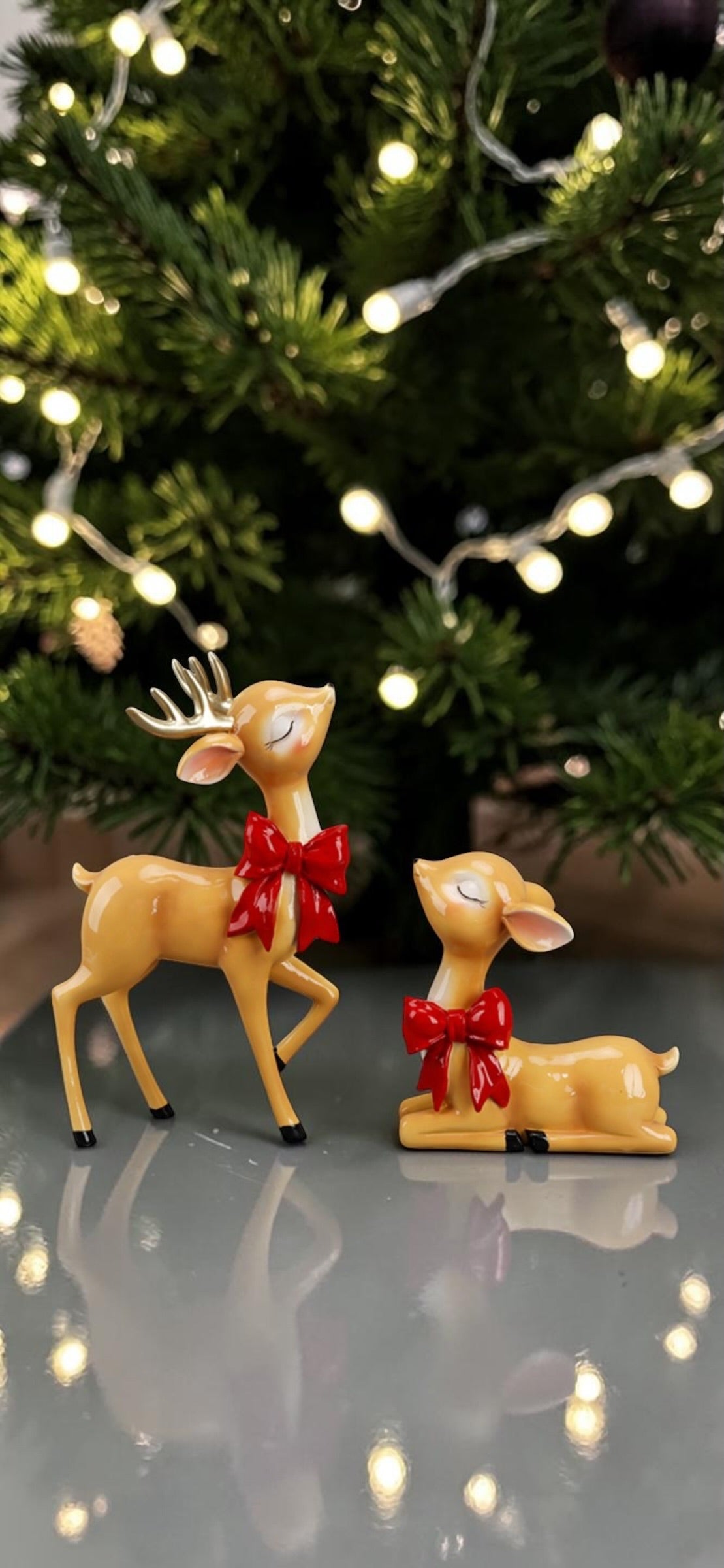 Reindeer