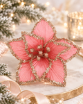 Coral pink poinsettia
