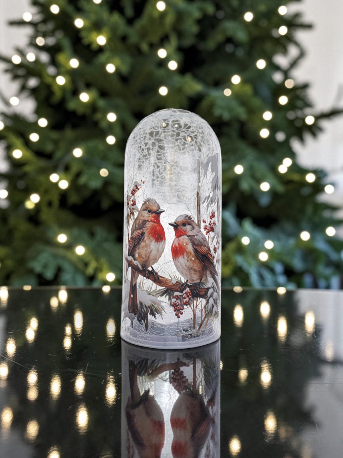 Robins in the Winter Glow” LED Glass Dome