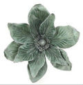 Sage green magnolia flower