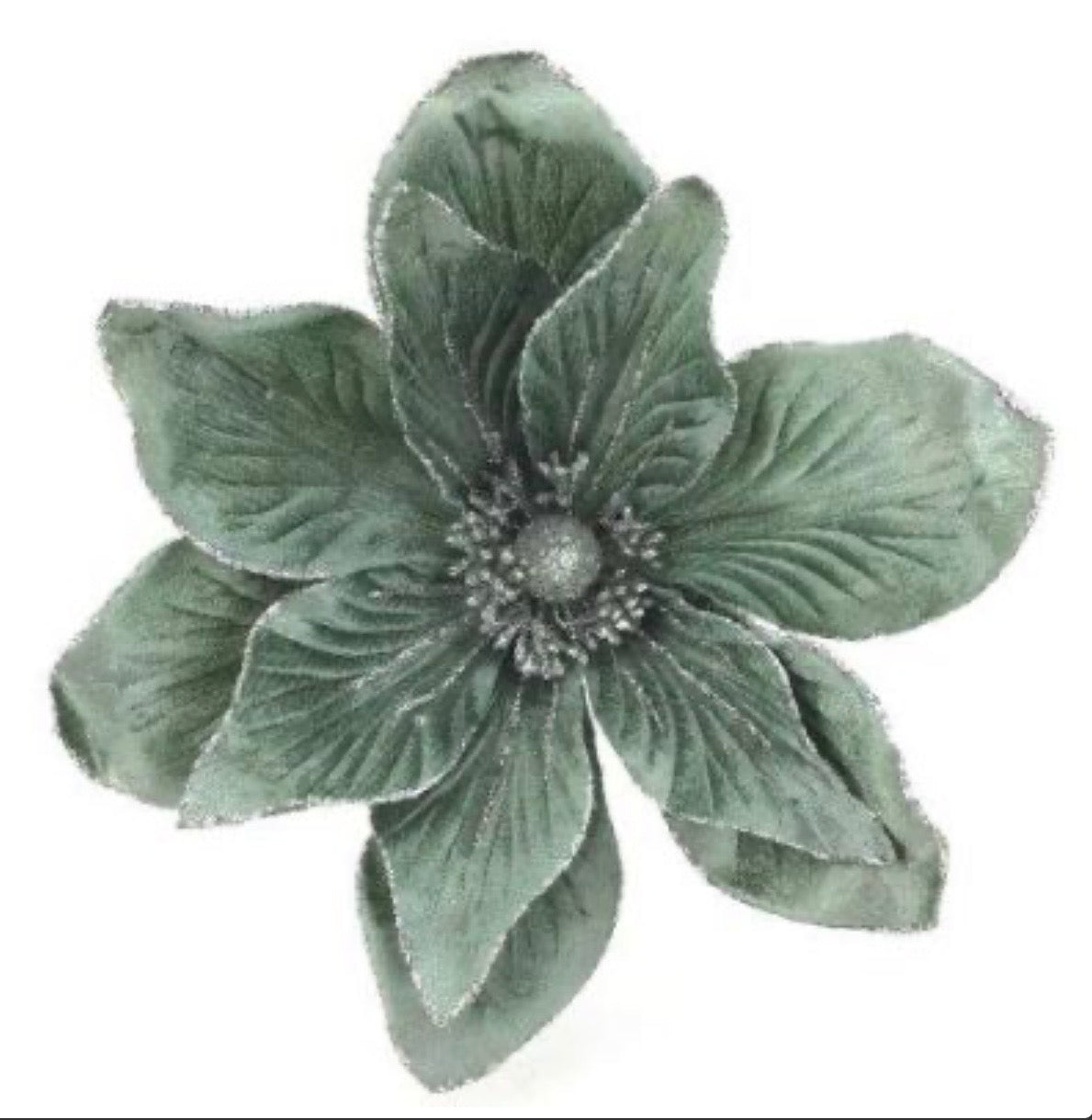 Sage green magnolia flower