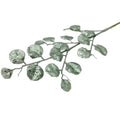 65cm Green Gum Leaf Spray