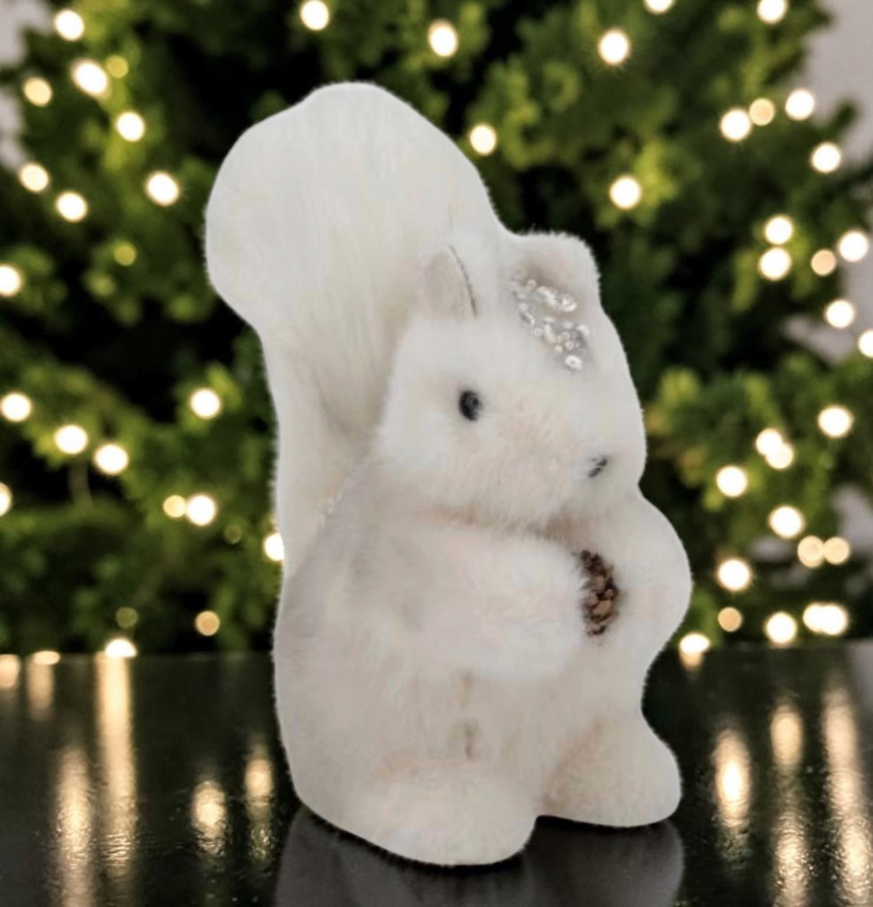 Woodland squirrel