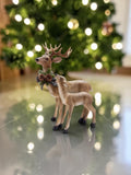 Woodland Deer and Fawn