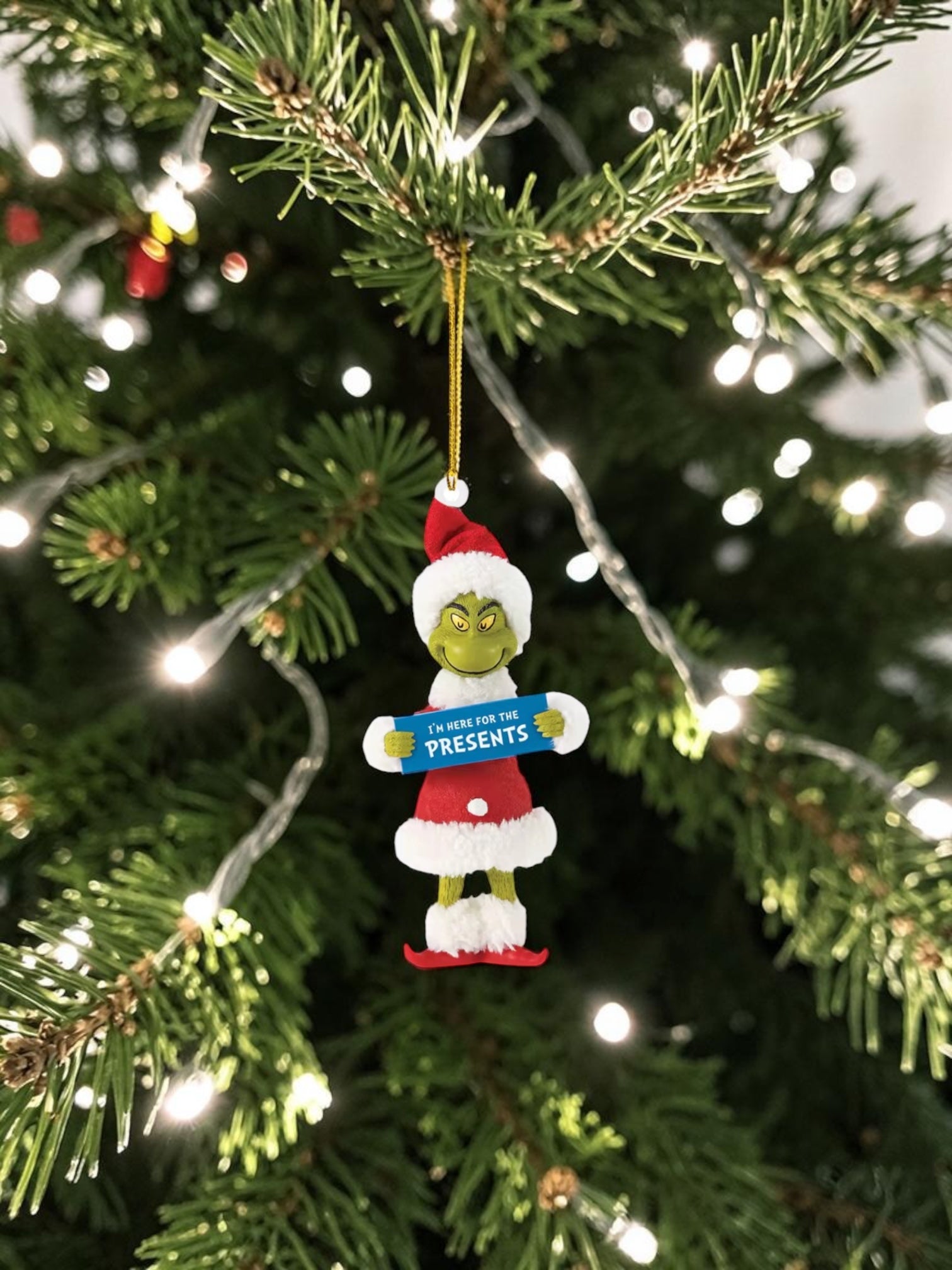 Grinch Hanging Ornament 2D