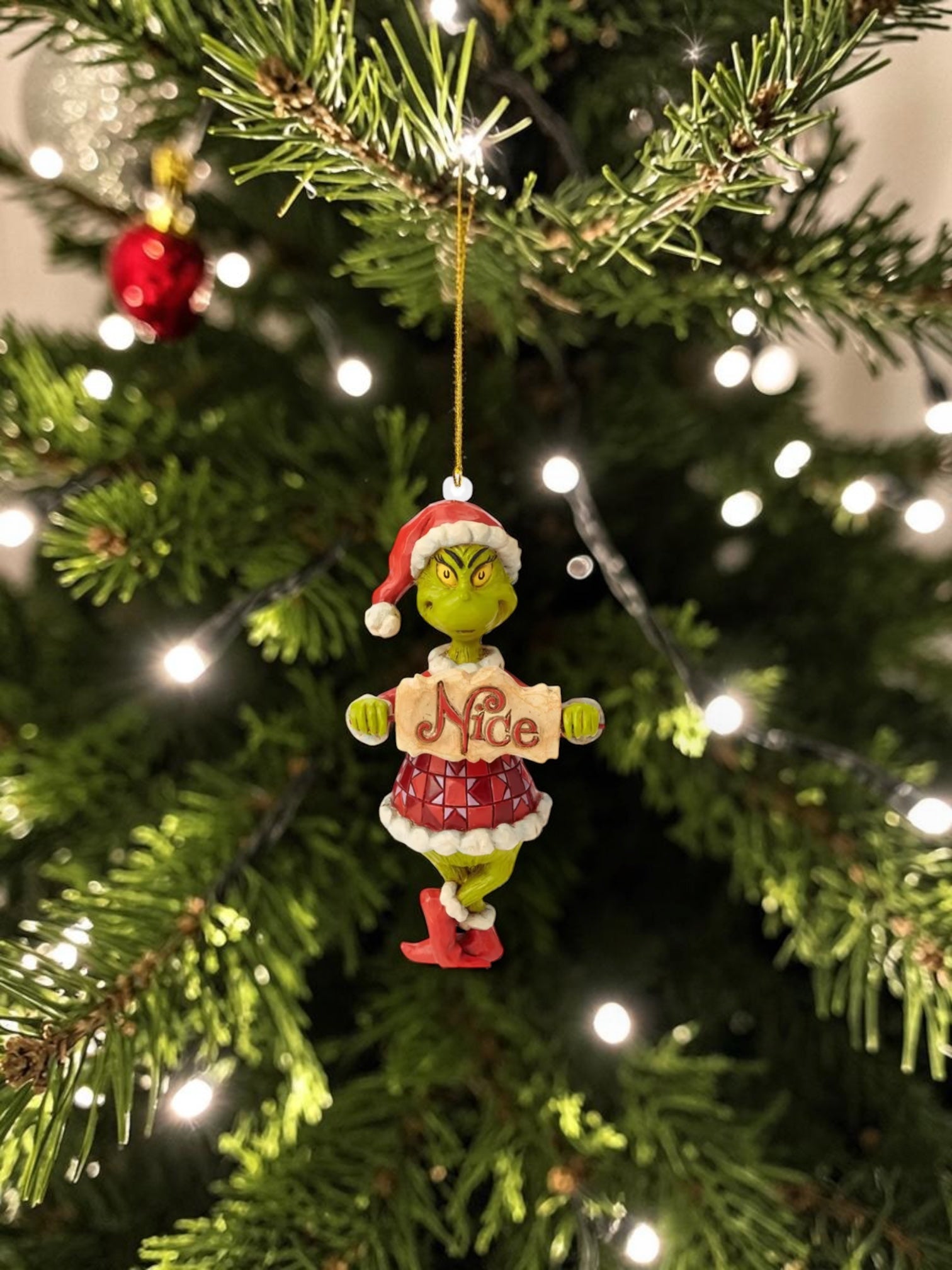 Grinch hanging Ornament 2D