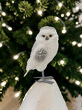 Standing owl.