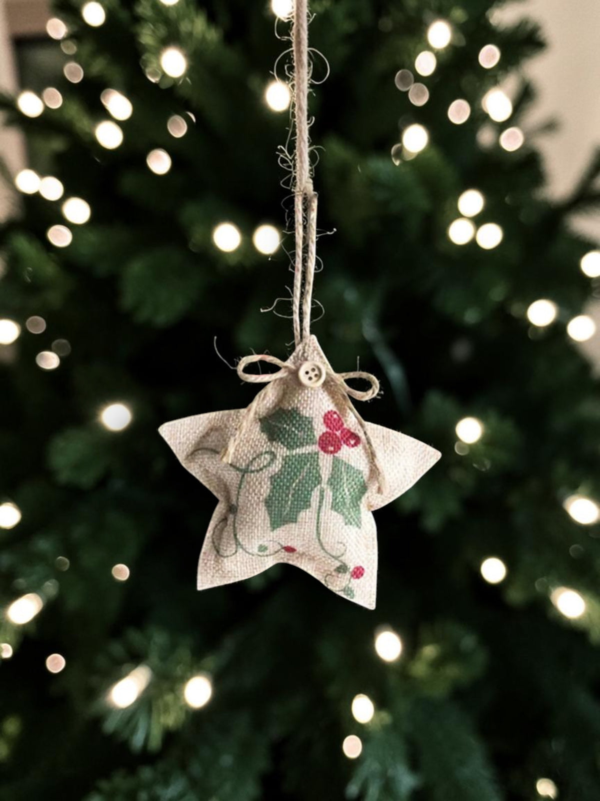 Rustic burlap star